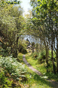 Path to the Cairn