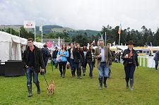 Viewing the Country Fair