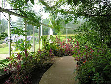 Inside the Glasshouse