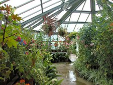 Inside the Glasshouse