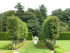 Statue and Trees