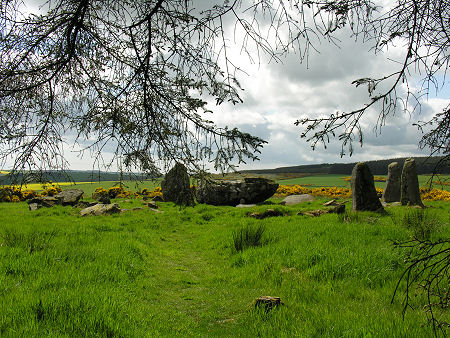 The Circle Seen from the Edge of the Woodland 