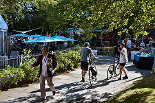 Sunny Day at the Festival