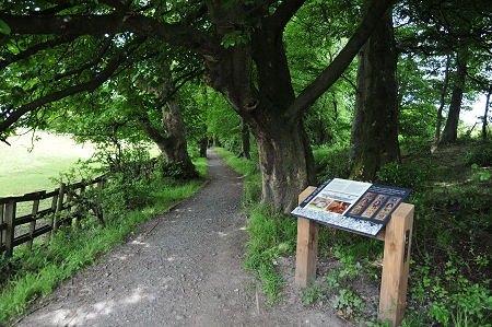 Information Board