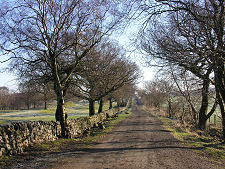 Car Park Track, with Wall to the Left