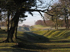 Looking West Along the Wall