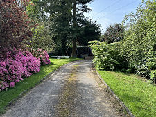 Road Through the Gardens