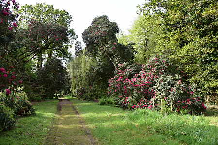 Galloway House Gardens