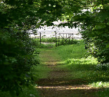 The Walled Garden