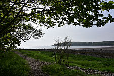 View Over Rigg Bay