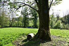 The Top of the Motte