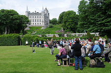 Falconry Display