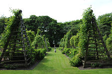 The Pyramid Garden