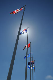 The Flags