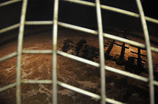 Inside the Mash Tun