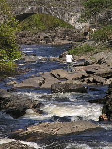 Distant View With Low Water Levels