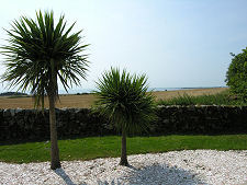 Sea View from the Cottage