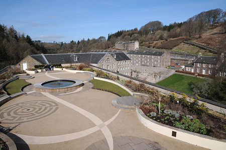 The Rooftop Garden