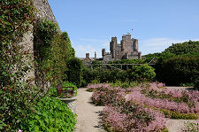 The Shell Garden