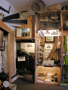 Museum Displays