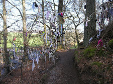 Path Leading to the Well, 2007