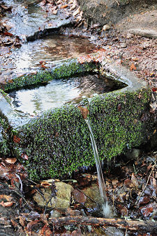 Water and Cistern