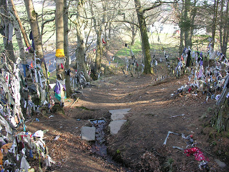 The Well from Higher Up the Hill in 2007