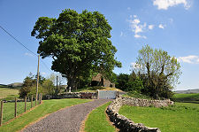 Glimpsed from the Approach Road