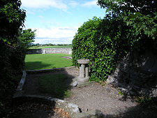 Among the Ivy Covered Ruins