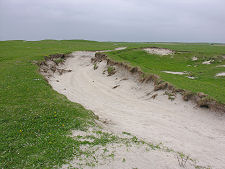 Track to Beach, West of Frobost