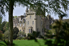 Castle and Trees