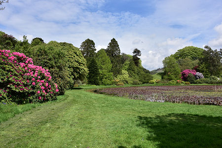 The Round Pond Garden