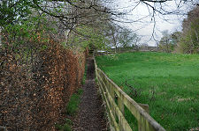 The Field Path