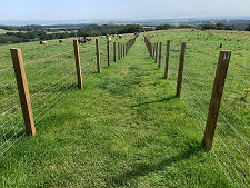 Path Across the Field