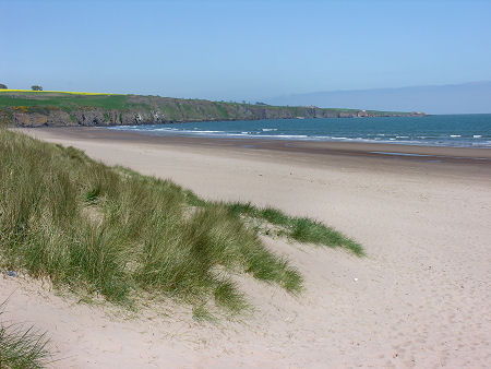 Lunan Bay Near Montrose