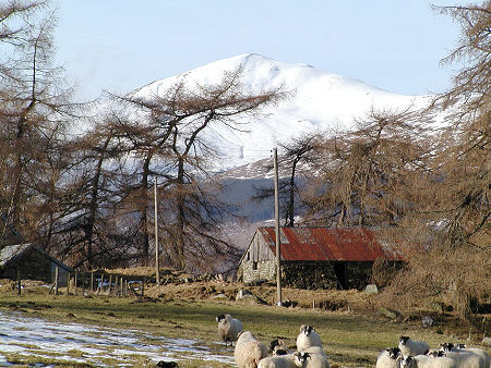 View of Ben Lawers from the Route of the Rob Roy Way