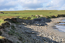 Coastal Erosion East of Site