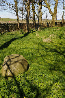 Line of Stones West of the Church