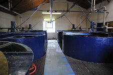 Washbacks