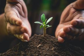 Un planeta sano para una población sana: un nuevo curso en línea de la UNESCO que presenta el enfoque de "Una sola salud" y experiencias de las reservas de biosfera