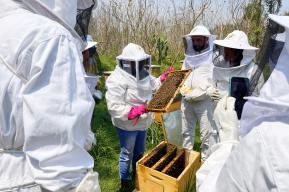 Abejas de Barrio, un turismo digno en México que acelera la seguridad alimentaria