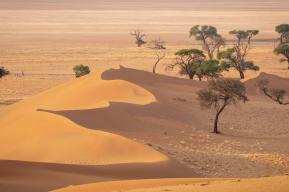 Apprendre dans le désert : l'oasis d'éducation environnementale de Viktoria Keding