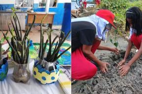 Una escuela colombiana enseña a preservar los manglares