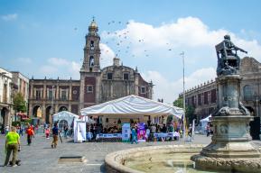 La Ciudad de México celebra la memoria histórica y resistencia de las personas afrodescendientes