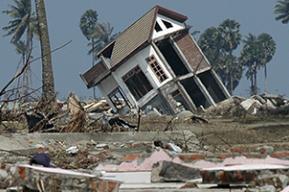 The Indian Ocean Tsunami Archives