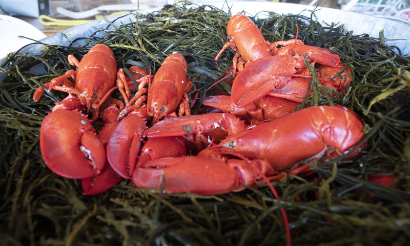 Lobsterbake, Photo by ©Ian Wagreich Photography