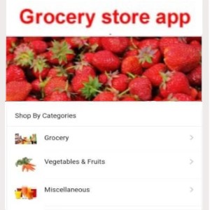 Grocery app development company