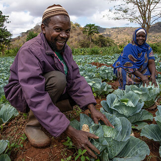 WFP supports local communities to boost nutrition and income by promoting horticulture value chains.