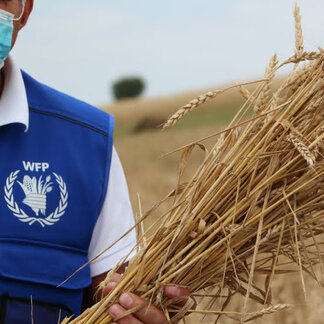 WFP staff holding wheat produced in Armenia through the support of WFP