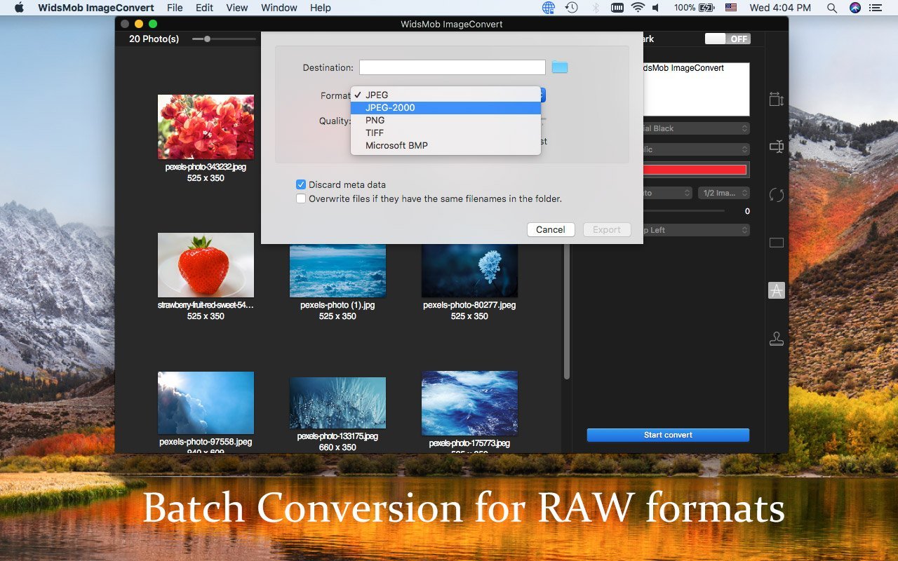 batch conversion